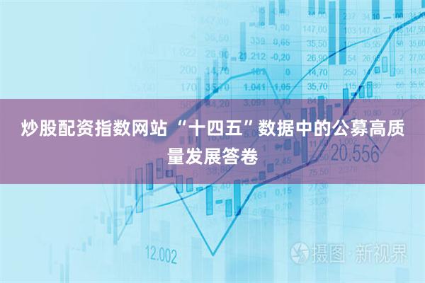 炒股配资指数网站 “十四五”数据中的公募高质量发展答卷